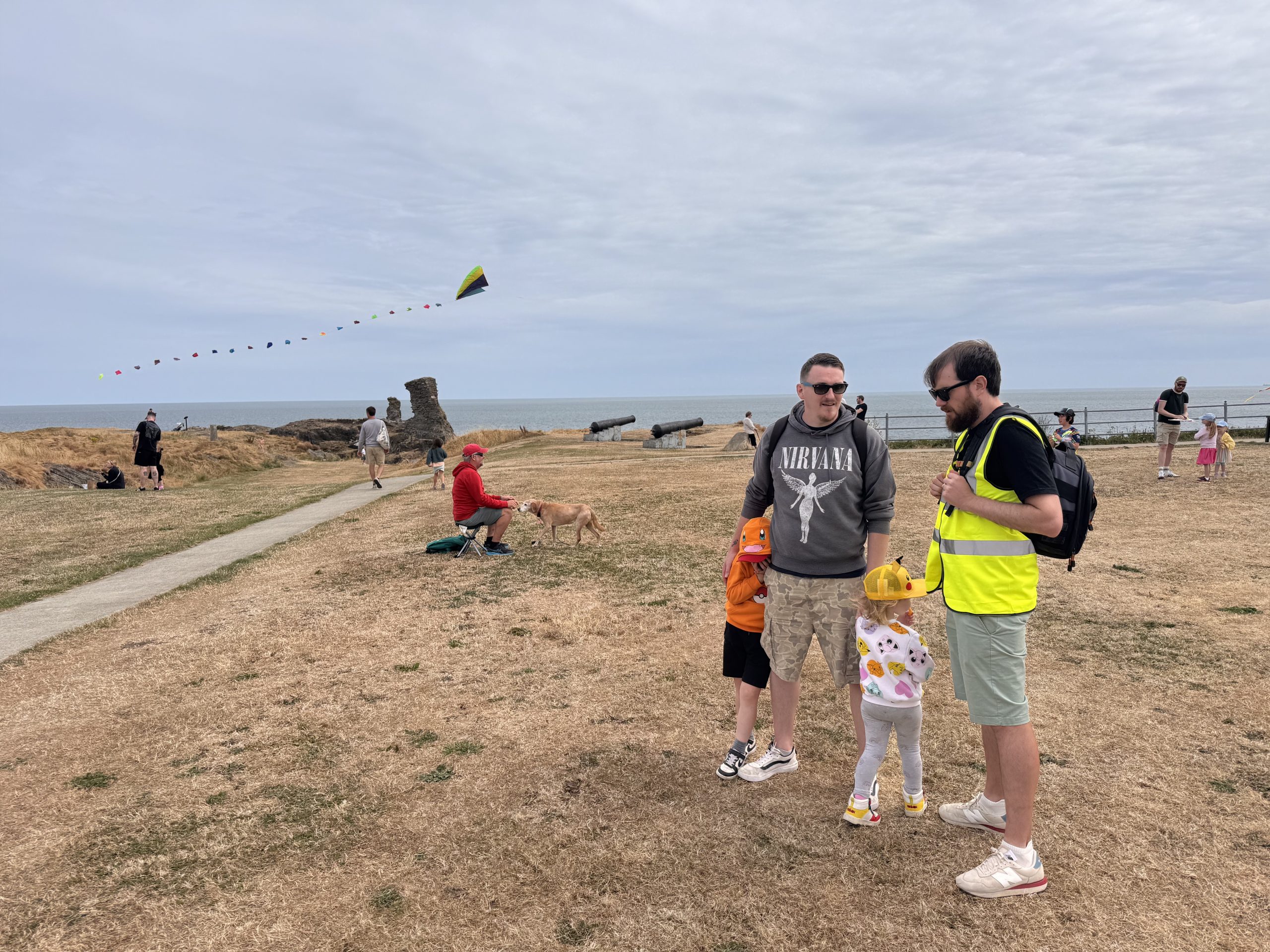 wicklow regatta kites