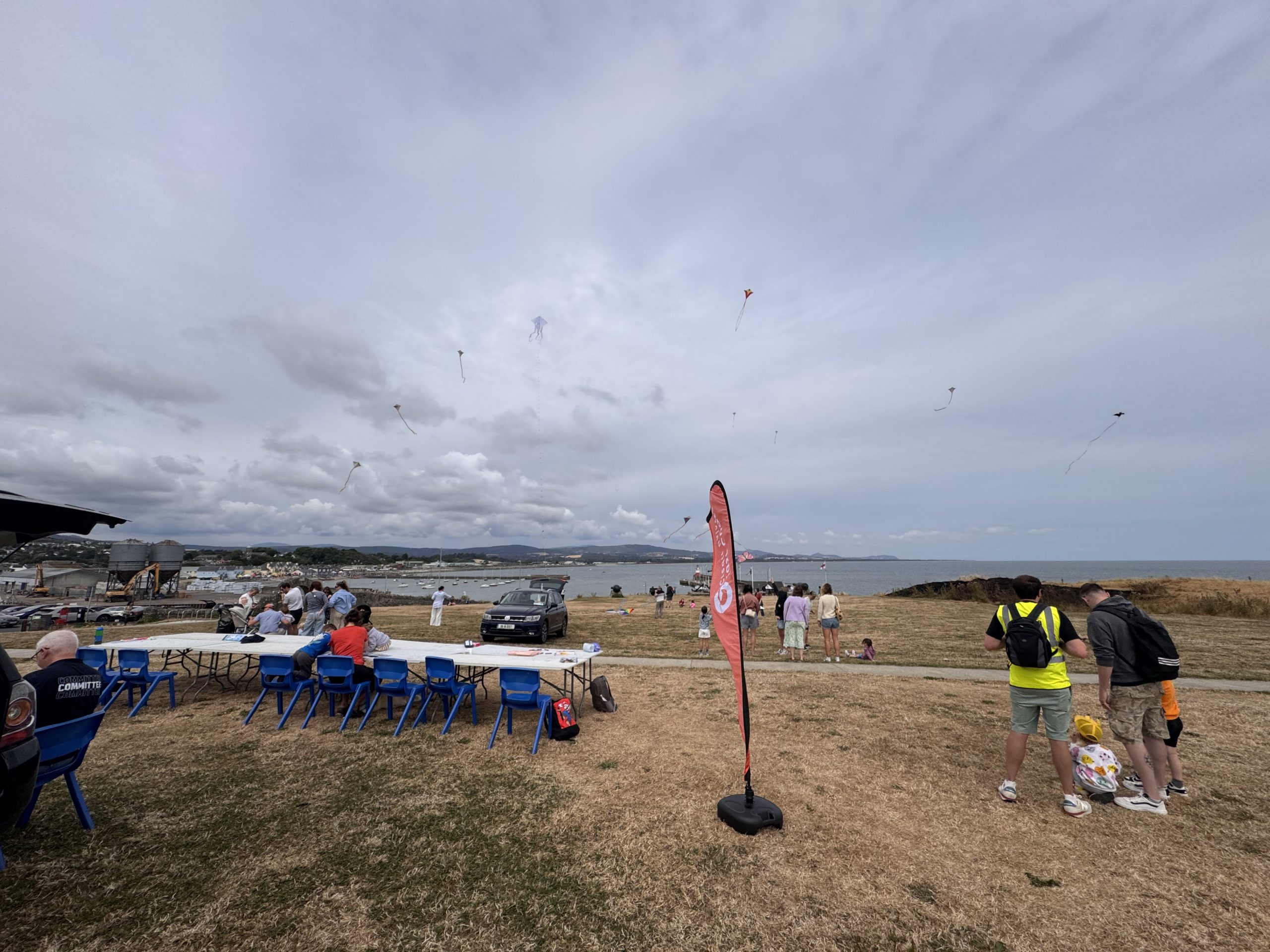 wicklow regatta kites